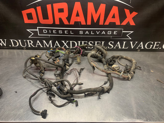 OEM ECM/TCM Wiring Harness